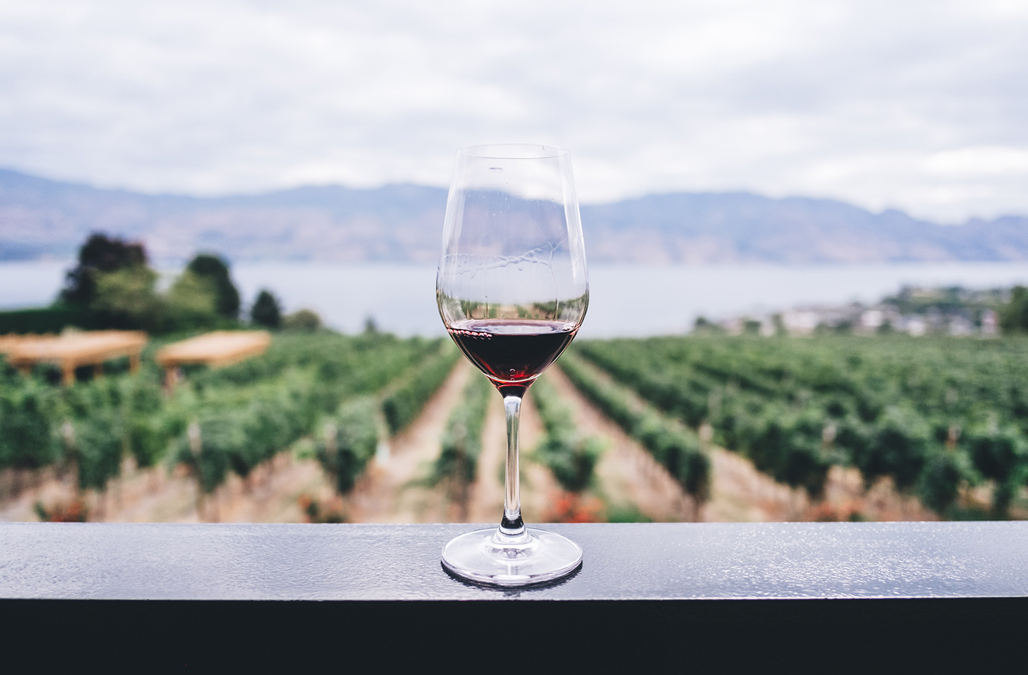 wine tourism Spain