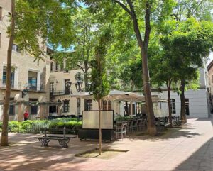 Tour-de-tapas-y-visita-al-mercado-central-de-zaragoza-8