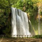 Day Trip to Monasterio de Piedra