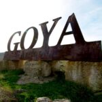 Full day wine excursion and visit goya birthplace