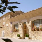 Full day wine excursion and visit goya birthplace