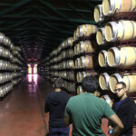 Half day Cariñena Wine Tour from Zaragoza