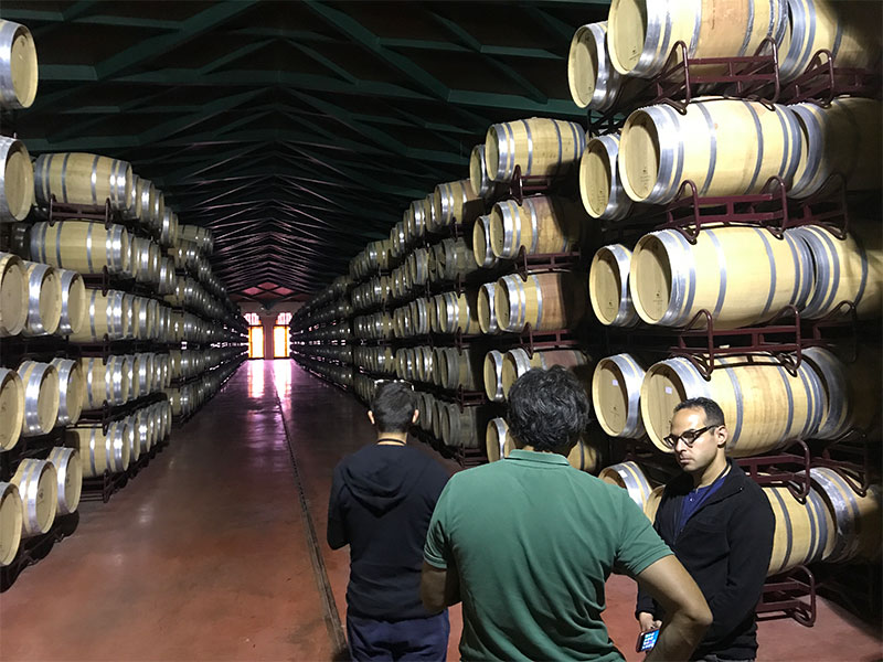 Half day Cariñena Wine Tour from Zaragoza