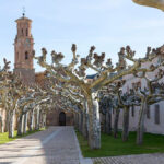 Half-Day Trip to Veruela Abbey and Campo de Borja