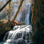 Day Trip to Monasterio de Piedra