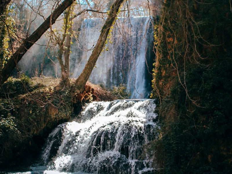 Day Trip to Monasterio de Piedra