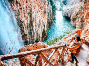 Excursión de día al Monasterio de Piedra