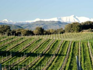 Excursión de día con visita a bodega del Somontano y a Alquézar