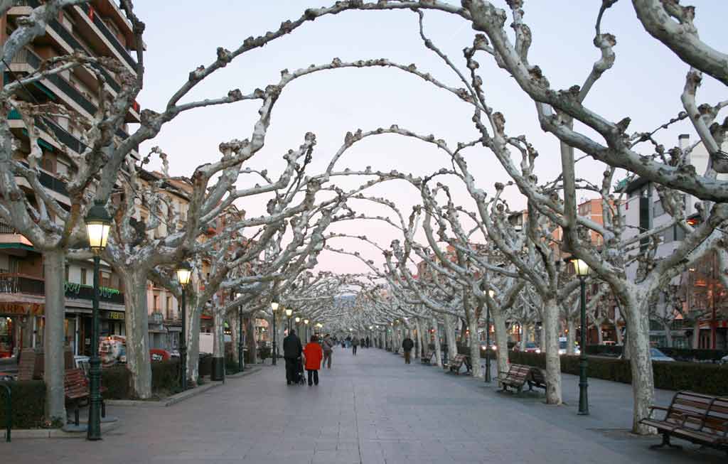 A Stroll Along Paseo Cortes de Aragon