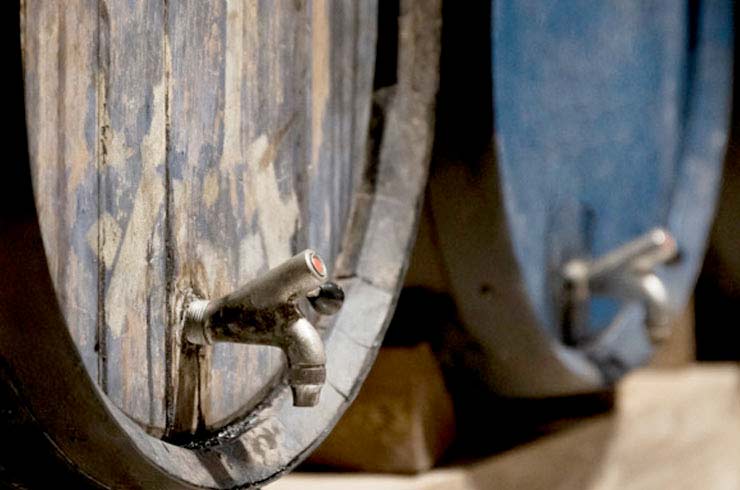 Winery Tour in Zaragoza