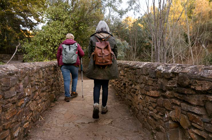 guided tours and cultural activities in albarracin