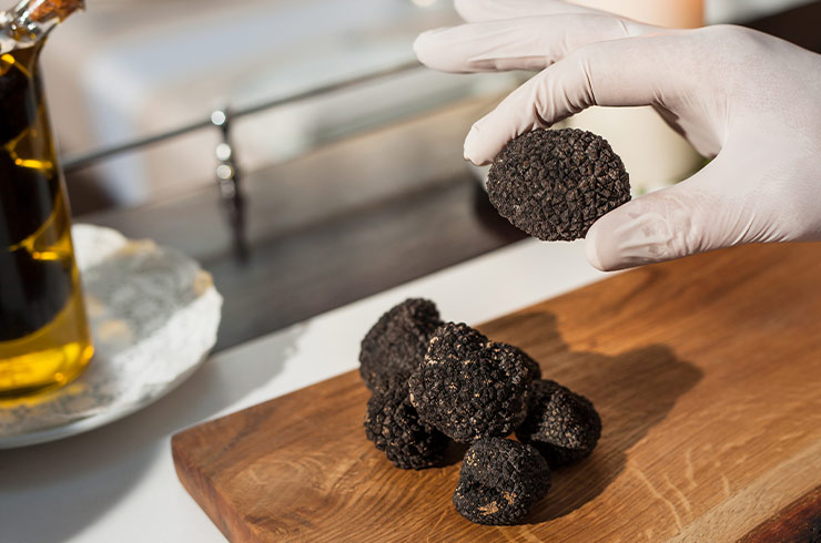 Black truffle of Teruel