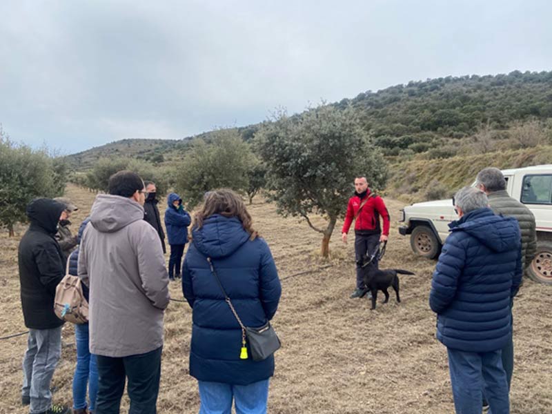 excursion en el Día de Trufa y Vino