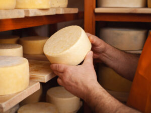 Half Day Excursion to an artisanal Cheese Factory