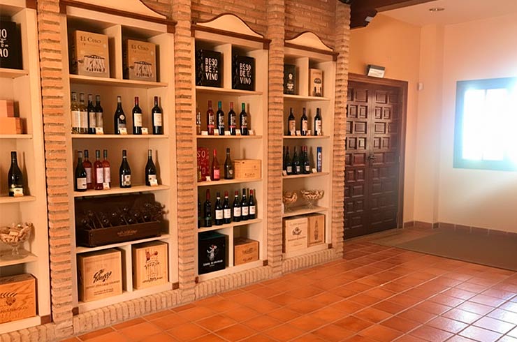 Interior de una bodega de la D.O. Cariñena con zona de tienda y exposición de vinos