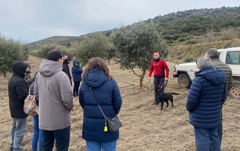 tour of truffle in Aragon