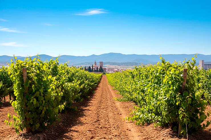 Vista de Cariñena y sus viñedos Denominación de Origen Vista de Cariñena y sus viñedos Denominación de Origen