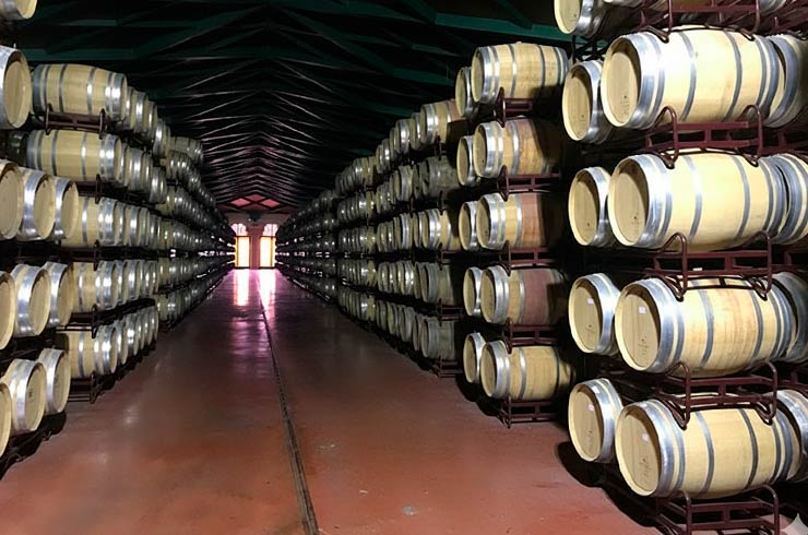 wineries carinena rutica41