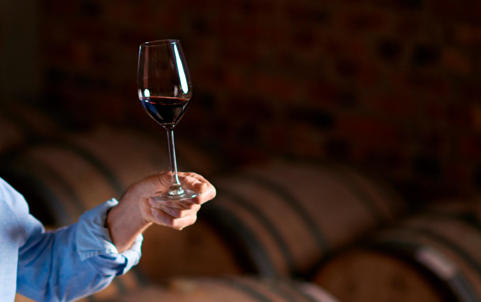 Wine tasting in traditional wine cellar in Spain