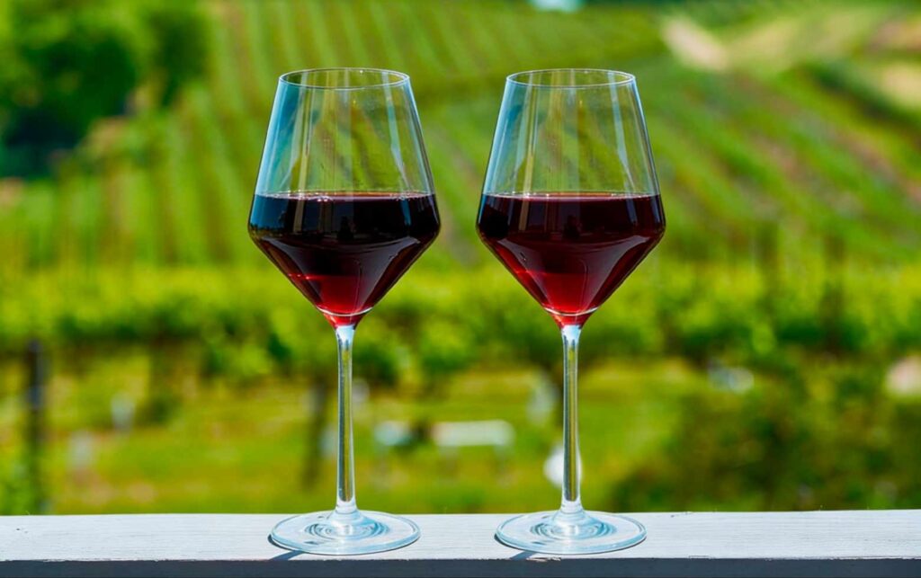 Red wine glasses with vineyard landscape in the background in Spain