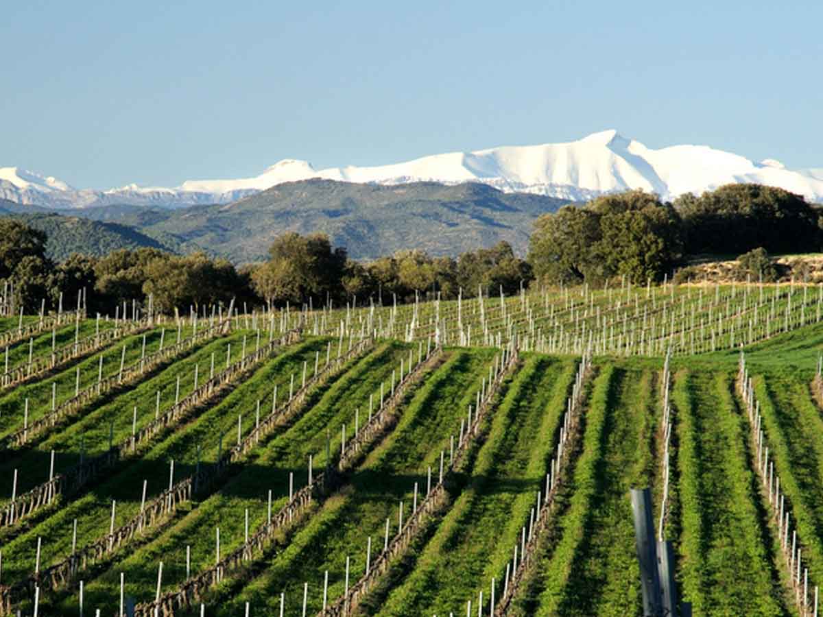 Panoramic view of Alquézar on a private Aragonese Pyrenees journey